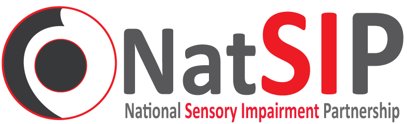 Natsip logo